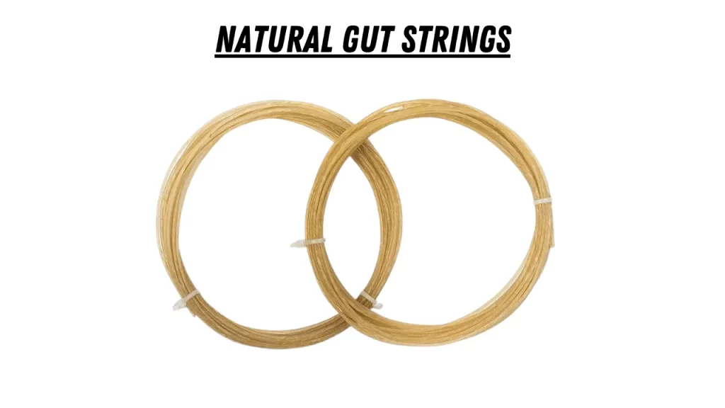 Tennis Natural Gut Strings 